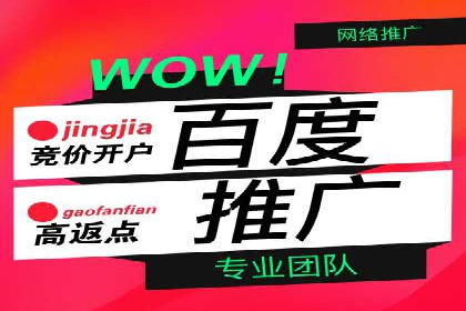 百度推广平台案例集锦：成功案例背后的故事